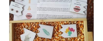 #Repost @elsadinitaufika

Inspirasi belajar menyenanhkan dari bunda Elsa, menggu...