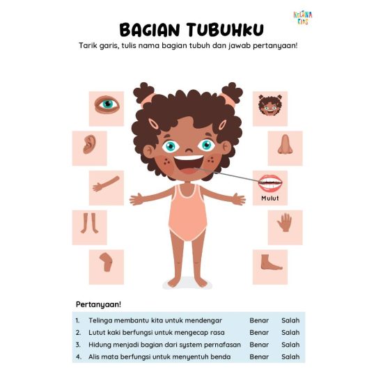 Worksheet Anak Bagian Tubuh Manusia: Printable Lembar Kerja Belajar